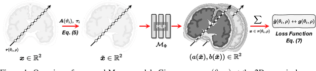 Figure 1 for Moner: Motion Correction in Undersampled Radial MRI with Unsupervised Neural Representation