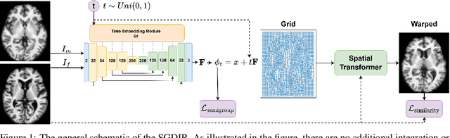 Figure 1 for Learning Diffeomorphism for Image Registration with Time-Continuous Networks using Semigroup Regularization