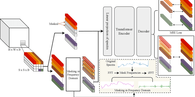 Figure 1 for Dual-Domain Masked Image Modeling: A Self-Supervised Pretraining Strategy Using Spatial and Frequency Domain Masking for Hyperspectral Data