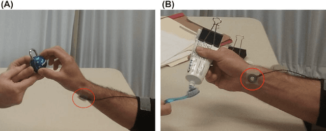 Figure 4 for Resonant and Stochastic Vibration in Neurorehabilitation