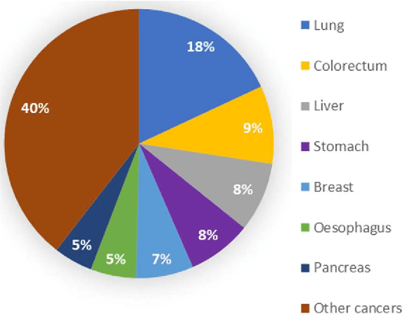 Figure 1 for Multi-scale and Multi-path Cascaded Convolutional Network for Semantic Segmentation of Colorectal Polyps