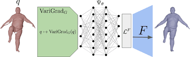 Figure 3 for Self Supervised Networks for Learning Latent Space Representations of Human Body Scans and Motions