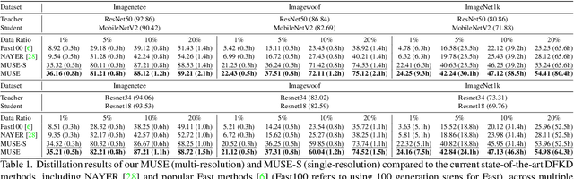 Figure 2 for Large-Scale Data-Free Knowledge Distillation for ImageNet via Multi-Resolution Data Generation