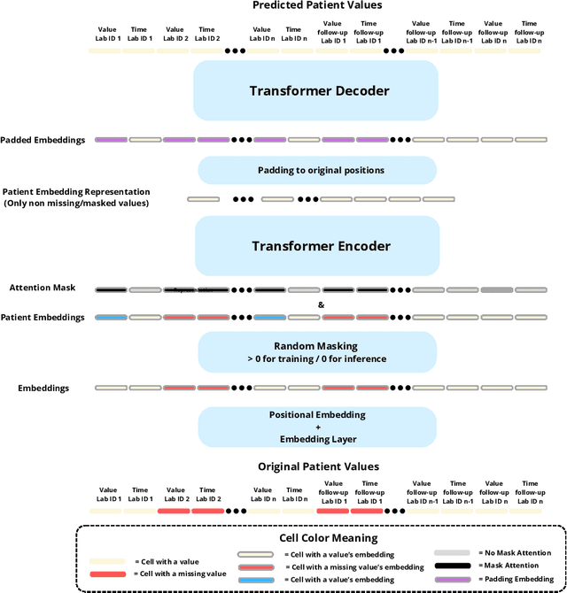 Figure 1 for Representation Learning of Lab Values via Masked AutoEncoder