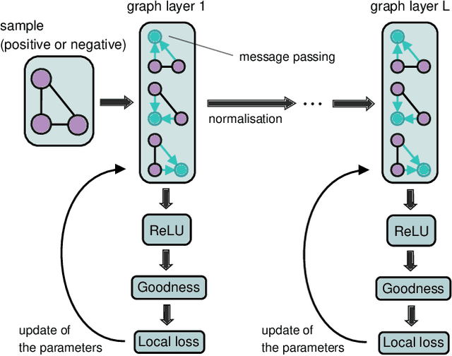 Figure 3 for Graph Neural Networks Go Forward-Forward