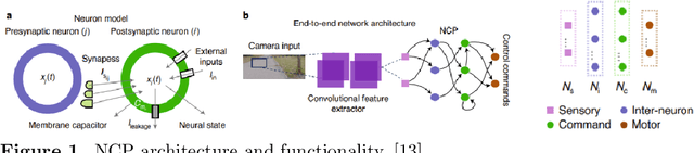 Figure 1 for Towards Green AI-Native Networks: Evaluation of Neural Circuit Policy for Estimating Energy Consumption of Base Stations