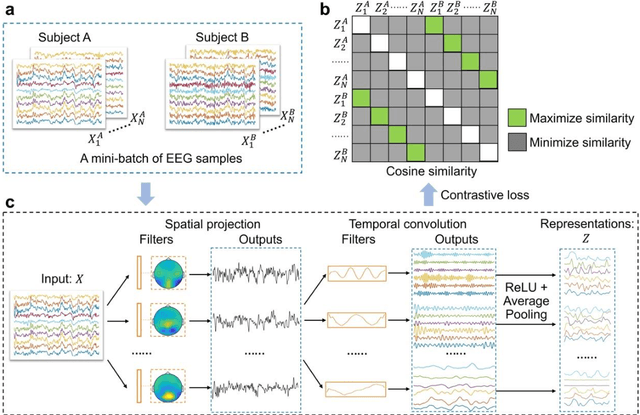 Figure 2 for Contrastive Learning of Shared Spatiotemporal EEG Representations Across Individuals for Naturalistic Neuroscience