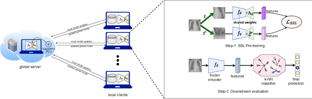 Figure 1 for An Evaluation of Non-Contrastive Self-Supervised Learning for Federated Medical Image Analysis