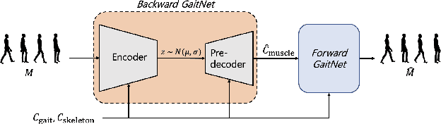 Figure 3 for Bidirectional GaitNet: A Bidirectional Prediction Model of Human Gait and Anatomical Conditions