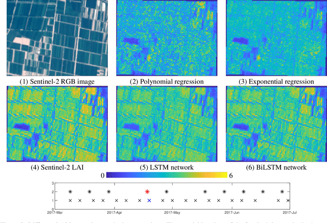Figure 4 for Combining multitemporal optical and SAR data for LAI imputation with BiLSTM network