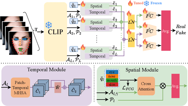 Figure 1 for Towards More General Video-based Deepfake Detection through Facial Feature Guided Adaptation for Foundation Model