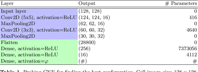 Figure 2 for Single Image Estimation of Cell Migration Direction by Deep Circular Regression