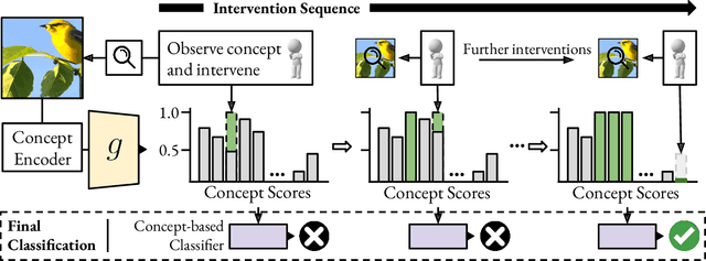 Figure 1 for Improving Intervention Efficacy via Concept Realignment in Concept Bottleneck Models