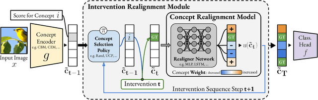 Figure 3 for Improving Intervention Efficacy via Concept Realignment in Concept Bottleneck Models