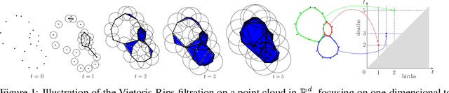 Figure 1 for Diffeomorphic interpolation for efficient persistence-based topological optimization