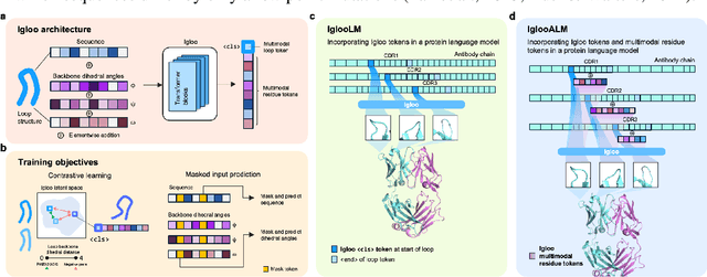 Figure 3 for Tokenizing Loops of Antibodies