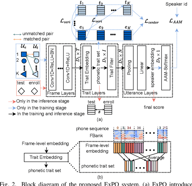 Figure 2 for ExPO: Explainable Phonetic Trait-Oriented Network for Speaker Verification