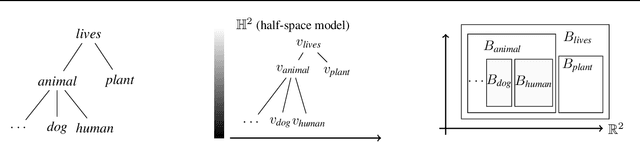 Figure 1 for RegD: Hierarchical Embeddings via Distances over Geometric Regions