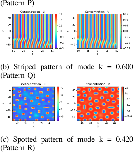 Figure 1 for Design of Turing Systems with Physics-Informed Neural Networks