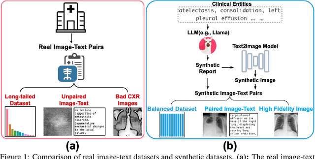 Figure 1 for Can Medical Vision-Language Pre-training Succeed with Purely Synthetic Data?