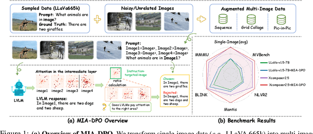 Figure 1 for MIA-DPO: Multi-Image Augmented Direct Preference Optimization For Large Vision-Language Models