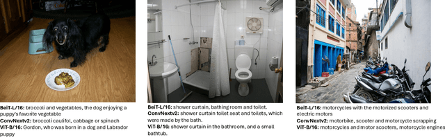 Figure 3 for Unlocking Open-Set Language Accessibility in Vision Models