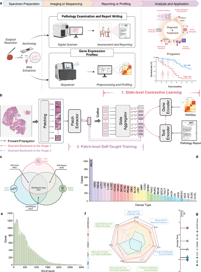 Figure 1 for A Multimodal Knowledge-enhanced Whole-slide Pathology Foundation Model