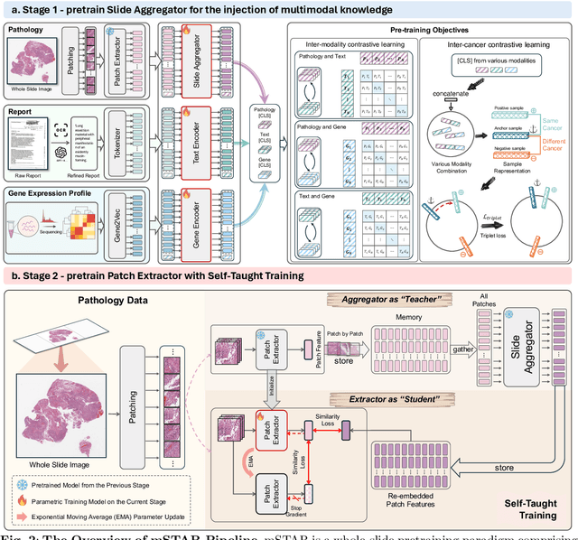 Figure 2 for A Multimodal Knowledge-enhanced Whole-slide Pathology Foundation Model