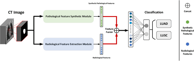 Figure 3 for Classification of lung cancer subtypes on CT images with synthetic pathological priors