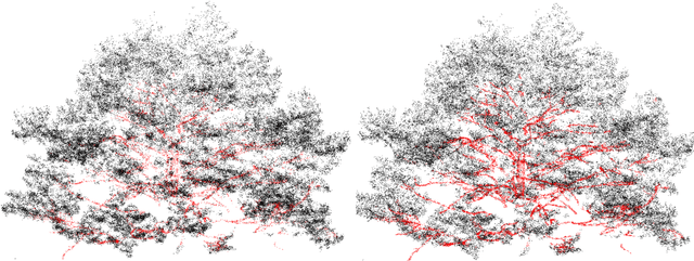 Figure 3 for PointsToWood: A deep learning framework for complete canopy leaf-wood segmentation of TLS data across diverse European forests