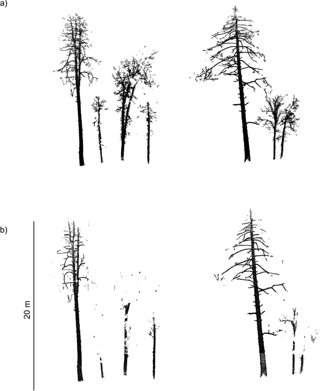 Figure 4 for PointsToWood: A deep learning framework for complete canopy leaf-wood segmentation of TLS data across diverse European forests