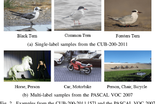 Figure 2 for ShuffleMix: Improving Representations via Channel-Wise Shuffle of Interpolated Hidden States