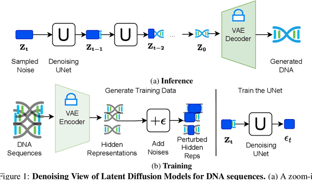 Figure 1 for Latent Diffusion Model for DNA Sequence Generation