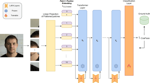 Figure 1 for FRoundation: Are Foundation Models Ready for Face Recognition?