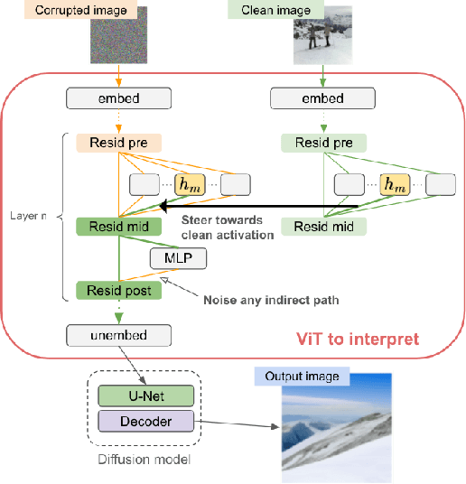 Figure 1 for Decoding Vision Transformers: the Diffusion Steering Lens