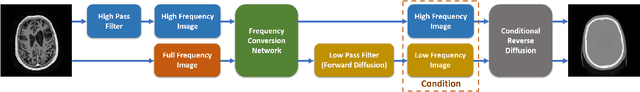 Figure 1 for FDDM: Unsupervised Medical Image Translation with a Frequency-Decoupled Diffusion Model