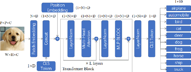 Figure 2 for EL-VIT: Probing Vision Transformer with Interactive Visualization