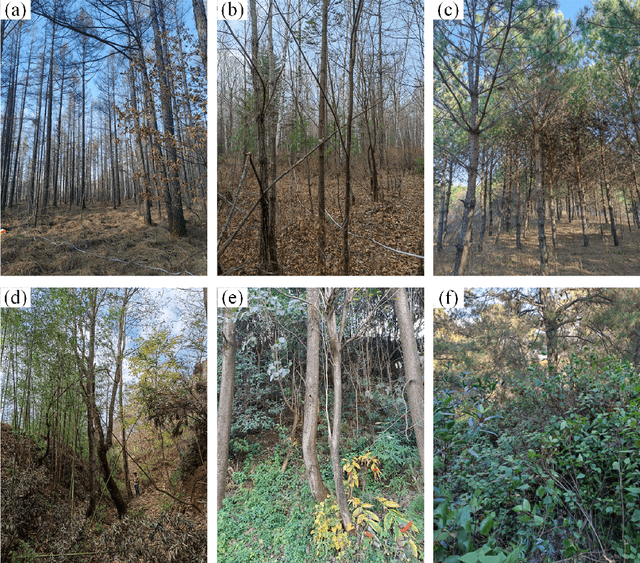 Figure 3 for Comparing remote sensing-based forest biomass mapping approaches using new forest inventory plots in contrasting forests in northeastern and southwestern China