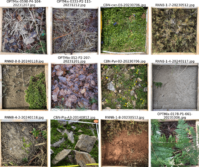 Figure 3 for Tile-Based ViT Inference with Visual-Cluster Priors for Zero-Shot Multi-Species Plant Identification
