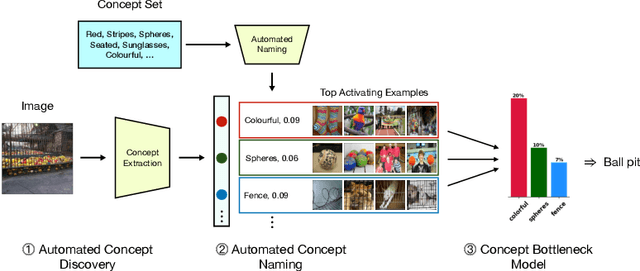 Figure 1 for Discover-then-Name: Task-Agnostic Concept Bottlenecks via Automated Concept Discovery