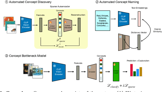 Figure 3 for Discover-then-Name: Task-Agnostic Concept Bottlenecks via Automated Concept Discovery