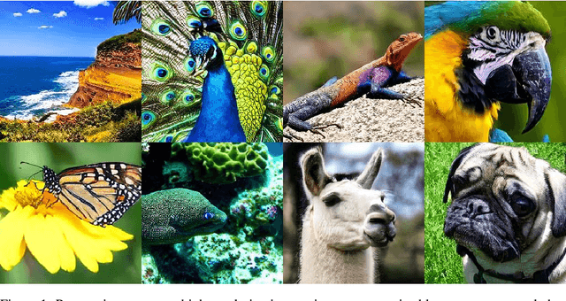 Figure 1 for Purrception: Variational Flow Matching for Vector-Quantized Image Generation