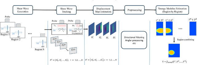 Figure 1 for SW-ViT: A Spatio-Temporal Vision Transformer Network with Post Denoiser for Sequential Multi-Push Ultrasound Shear Wave Elastography