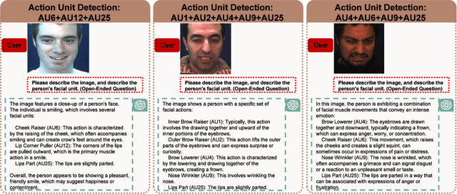 Figure 3 for GPT as Psychologist? Preliminary Evaluations for GPT-4V on Visual Affective Computing