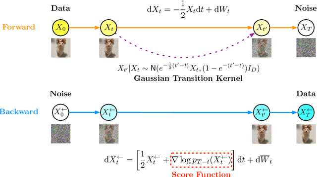 Figure 1 for An Overview of Diffusion Models: Applications, Guided Generation, Statistical Rates and Optimization