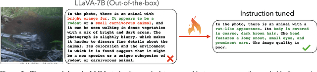 Figure 3 for Multimodal Foundation Models for Zero-shot Animal Species Recognition in Camera Trap Images