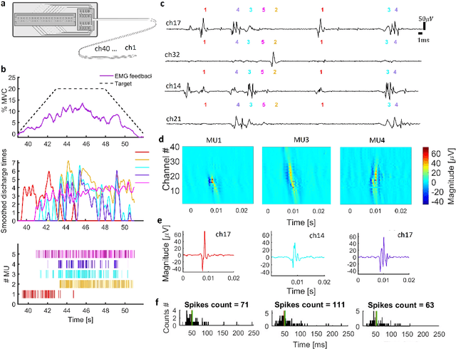 Figure 3 for Separation of Neural Drives to Muscles from Transferred Polyfunctional Nerves using Implanted Micro-electrode Arrays