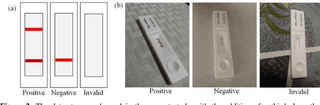 Figure 3 for AI-Driven Smartphone Solution for Digitizing Rapid Diagnostic Test Kits and Enhancing Accessibility for the Visually Impaired