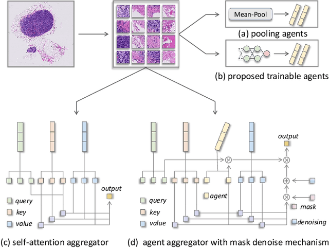 Figure 1 for Agent Aggregator with Mask Denoise Mechanism for Histopathology Whole Slide Image Analysis