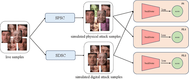 Figure 3 for Joint Physical-Digital Facial Attack Detection Via Simulating Spoofing Clues